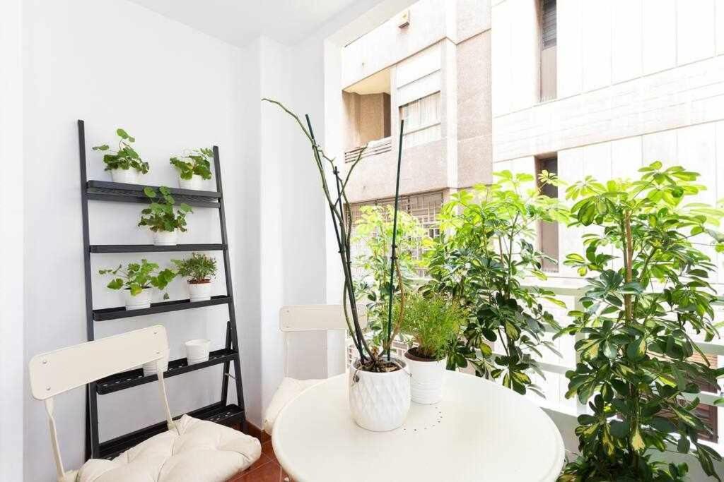 Sabino Dreams Santa Cruz Appartement Buitenkant foto